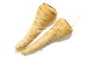 パースニップ（Parsnip）