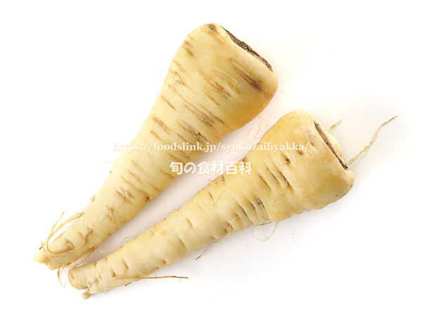 パースニップ（Parsnip）