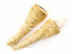 パースニップ（Parsnip）