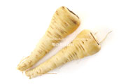 パースニップ（Parsnip）