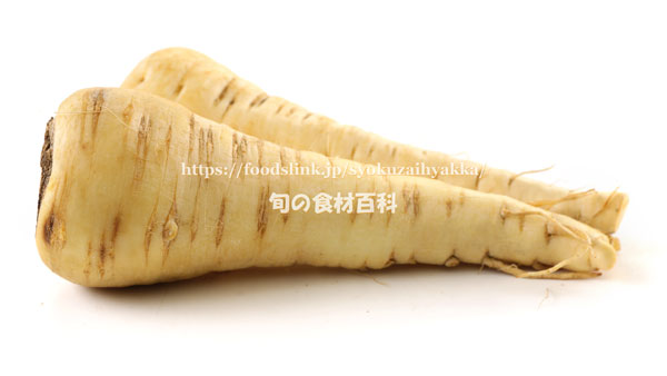 パースニップ（Parsnip）