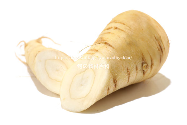 パースニップ（Parsnip）