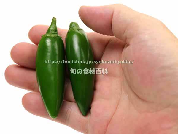 ハラペーニョ jalapeno