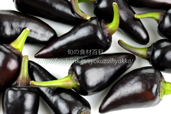 ハンガリアン・ブラックペッパー　Pepper Hungarian Black