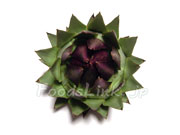 アーティチョーク/アティショー/カルチョフィ/artichoke,artichaut
