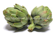 アーティチョーク グリーングローブ アーティチョーク/アティショー/カルチョフィ/artichoke,artichaut