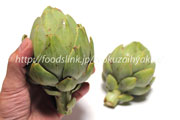 アーティチョーク グリーングローブ アーティチョーク/アティショー/カルチョフィ/artichoke,artichaut