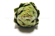 アーティチョーク グリーングローブ アーティチョーク/アティショー/カルチョフィ/artichoke,artichaut