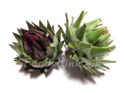 アーティチョーク/アティショー/カルチョフィ/artichoke,artichaut