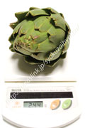 アーティチョーク グリーングローブ アーティチョーク/アティショー/カルチョフィ/artichoke,artichaut