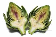 アーティチョーク グリーングローブ アーティチョーク/アティショー/カルチョフィ/artichoke,artichaut