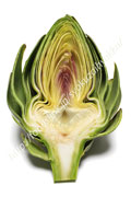 アーティチョーク グリーングローブ アーティチョーク/アティショー/カルチョフィ/artichoke,artichaut