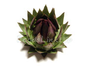 アーティチョーク/アティショー/カルチョフィ/artichoke,artichaut