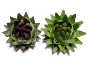 アーティチョーク/アティショー/カルチョフィ/artichoke,artichaut