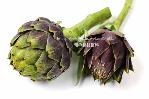 アーティチョーク,カルチョーフィ,Artichoke,carciofi