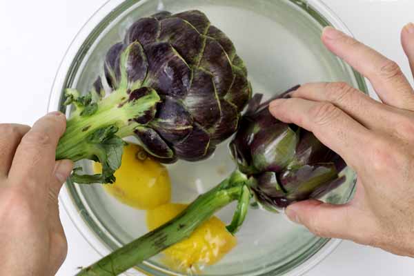 アーティチョーク,カルチョーフィ,Artichoke,carciofi