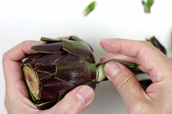 アーティチョーク,カルチョーフィ,Artichoke,carciofi