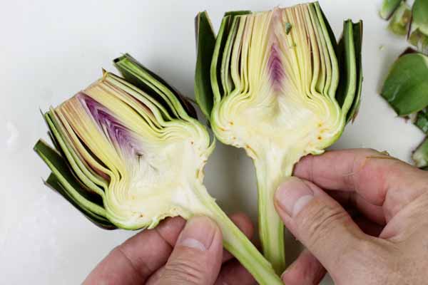 アーティチョーク,カルチョーフィ,Artichoke,carciofi