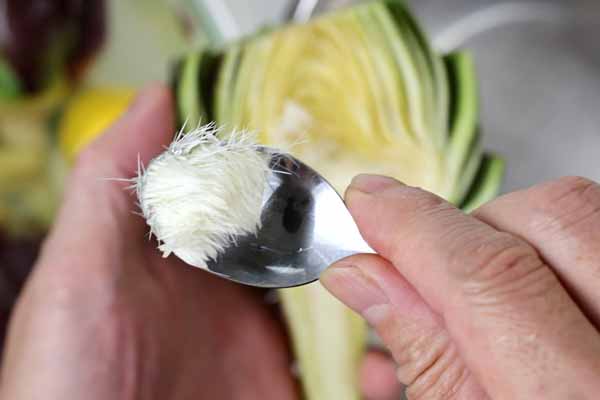 アーティチョーク,カルチョーフィ,Artichoke,carciofi