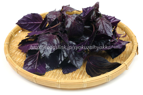 バジル,バジリコ,紫色,ヴァイオレット・アロマティコ,Violetto aromatico,,ダーク・オパール,Dark opal