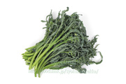 スピガリエッロ(スティックブロッコリー) BROCCOLO Spigariello a getti di Napoli