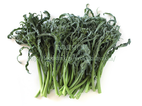スピガリエッロ(スティックブロッコリー) BROCCOLO Spigariello a getti di Napoli スピガリエッロ(スティックブロッコリー) BROCCOLO Spigariello a getti di Napoli