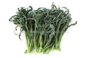 スピガリエッロ(スティックブロッコリー) BROCCOLO Spigariello a getti di Napoli