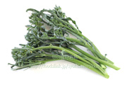 スピガリエッロ(スティックブロッコリー) BROCCOLO Spigariello a getti di Napoli