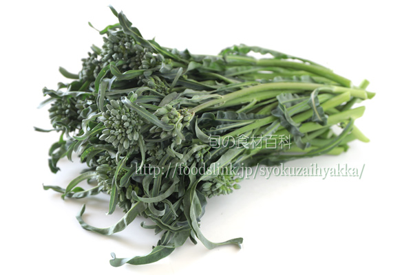 スピガリエッロ(スティックブロッコリー) BROCCOLO Spigariello a getti di Napoli