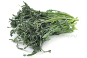 スピガリエッロ(スティックブロッコリー) BROCCOLO Spigariello a getti di Napoli
