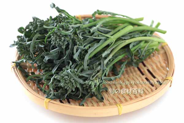 スピガリエッロ(スティックブロッコリー) BROCCOLO Spigariello a getti di Napoli スピガリエッロ(スティックブロッコリー) BROCCOLO Spigariello a getti di Napoli