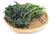 スピガリエッロ(スティックブロッコリー) BROCCOLO Spigariello a getti di Napoli