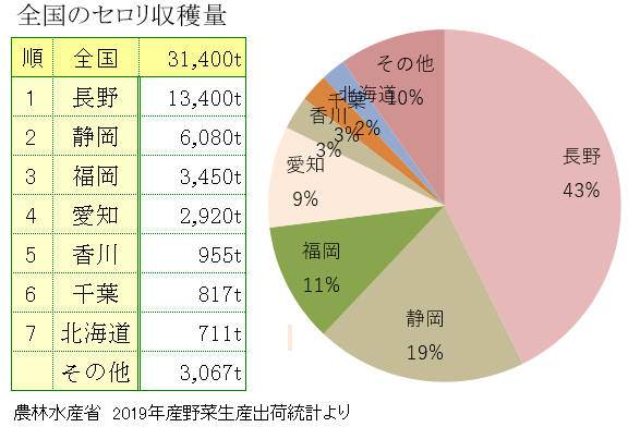 セロリの主な産地と収穫量