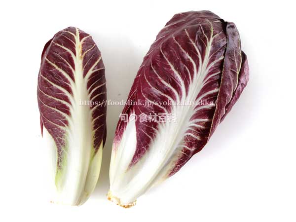 ラディッキオ・ロッソ・ディ・トレビーゾ・プレコーチェ/Radicchio Rosso di Treviso Precoce ラディッキオ・ロッソ・ディ・トレビーゾ・プレコーチェ/Radicchio Rosso di Treviso Precoce