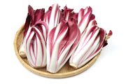 ラディッキオ・ロッソ・ディ・トレビーゾ・タルディーボ/Radicchio Rosso di Treviso Tardivo ラディッキオ・ロッソ・ディ・トレビーゾ・タルディーボ/Radicchio Rosso di Treviso Tardivo