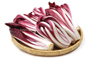 ラディッキオ・ロッソ・ディ・トレビーゾ・タルディーボ/Radicchio Rosso di Treviso Tardivo ラディッキオ・ロッソ・ディ・トレビーゾ・タルディーボ/Radicchio Rosso di Treviso Tardivo