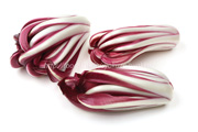 ラディッキオ・ロッソ・ディ・トレビーゾ・タルディーボ/Radicchio Rosso di Treviso Tardivo ラディッキオ・ロッソ・ディ・トレビーゾ・タルディーボ/Radicchio Rosso di Treviso Tardivo