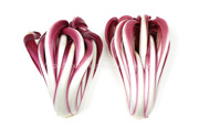 ラディッキオ・ロッソ・ディ・トレビーゾ・タルディーボ/Radicchio Rosso di Treviso Tardivo ラディッキオ・ロッソ・ディ・トレビーゾ・タルディーボ/Radicchio Rosso di Treviso Tardivo