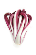 ラディッキオ・ロッソ・ディ・トレビーゾ・タルディーボ/Radicchio Rosso di Treviso Tardivo ラディッキオ・ロッソ・ディ・トレビーゾ・タルディーボ/Radicchio Rosso di Treviso Tardivo