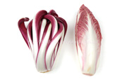 ラディッキオ・ロッソ・ディ・トレビーゾ・タルディーボ/Radicchio Rosso di Treviso Tardivo ラディッキオ・ロッソ・ディ・トレビーゾ・タルディーボ/Radicchio Rosso di Treviso Tardivo