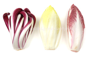 ラディッキオ・ロッソ・ディ・トレビーゾ・タルディーボ/Radicchio Rosso di Treviso Tardivo ラディッキオ・ロッソ・ディ・トレビーゾ・タルディーボ/Radicchio Rosso di Treviso Tardivo