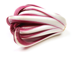 ラディッキオ・ロッソ・ディ・トレビーゾ・タルディーボ/Radicchio Rosso di Treviso Tardivo ラディッキオ・ロッソ・ディ・トレビーゾ・タルディーボ/Radicchio Rosso di Treviso Tardivo