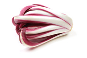 ラディッキオ・ロッソ・ディ・トレビーゾ・タルディーボ/Radicchio Rosso di Treviso Tardivo ラディッキオ・ロッソ・ディ・トレビーゾ・タルディーボ/Radicchio Rosso di Treviso Tardivo