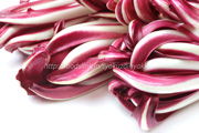 ラディッキオ・ロッソ・ディ・トレビーゾ・タルディーボ/Radicchio Rosso di Treviso Tardivo ラディッキオ・ロッソ・ディ・トレビーゾ・タルディーボ/Radicchio Rosso di Treviso Tardivo
