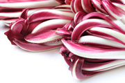 ラディッキオ・ロッソ・ディ・トレビーゾ・タルディーボ/Radicchio Rosso di Treviso Tardivo ラディッキオ・ロッソ・ディ・トレビーゾ・タルディーボ/Radicchio Rosso di Treviso Tardivo