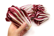 ラディッキオ・ロッソ・ディ・トレビーゾ・タルディーボ/Radicchio Rosso di Treviso Tardivo ラディッキオ・ロッソ・ディ・トレビーゾ・タルディーボ/Radicchio Rosso di Treviso Tardivo
