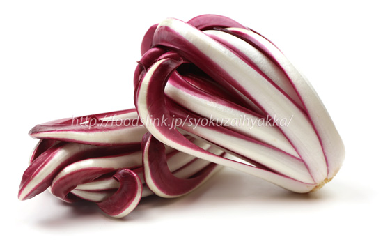 ラディッキオ・ロッソ・ディ・トレビーゾ・タルディーボ/Radicchio Rosso di Treviso Tardivo ラディッキオ・ロッソ・ディ・トレビーゾ・タルディーボ/Radicchio Rosso di Treviso Tardivo