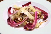 ラディッキオ・ロッソ・ディ・トレビーゾ・タルディーボ/Radicchio Rosso di Treviso Tardivo ラディッキオ・ロッソ・ディ・トレビーゾ・タルディーボ/Radicchio Rosso di Treviso Tardivo