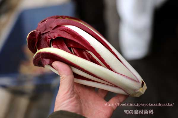 奥村農場産の大きなタルディーボ 奥村農場産の大きなタルディーボ