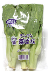 青梗菜の菜花/チンゲン菜ばな